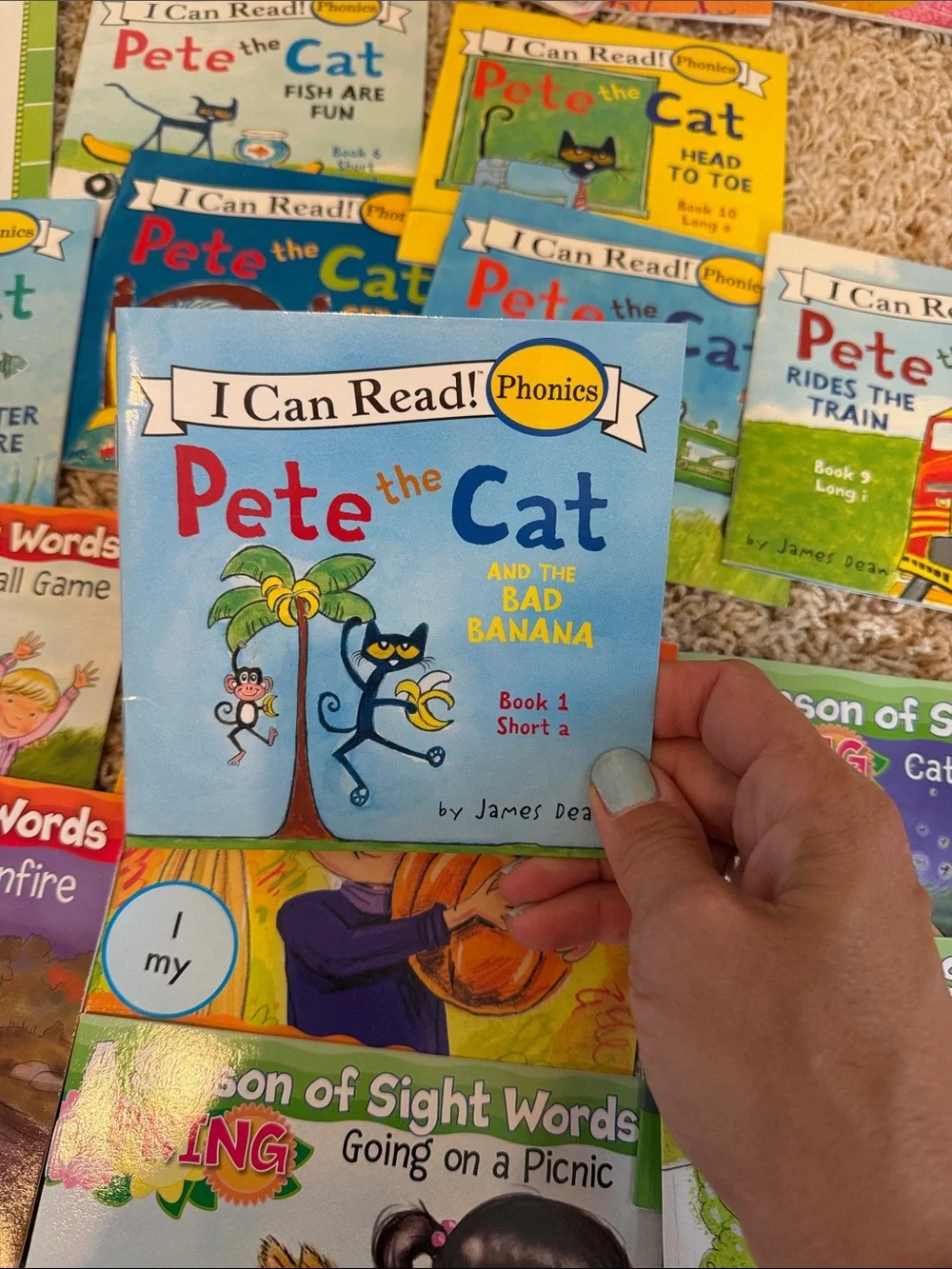 Phonics Learn to read Book Collection